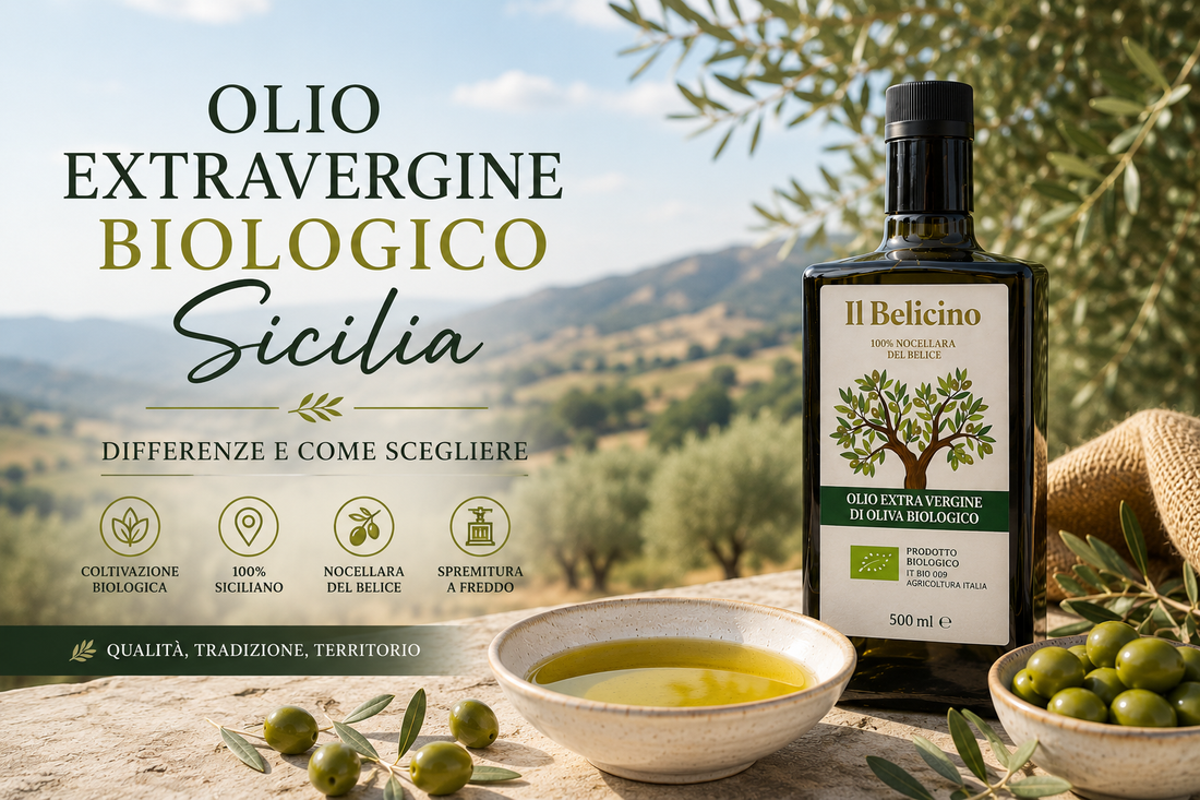 Olio extravergine biologico Sicilia: differenze e come scegliere