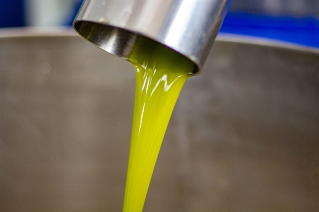 Miglior olio extravergine italiano: come sceglierlo davvero