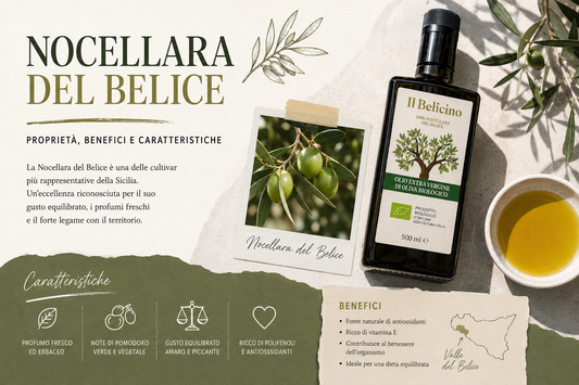 Nocellara del Belice: proprietà, benefici e caratteristiche